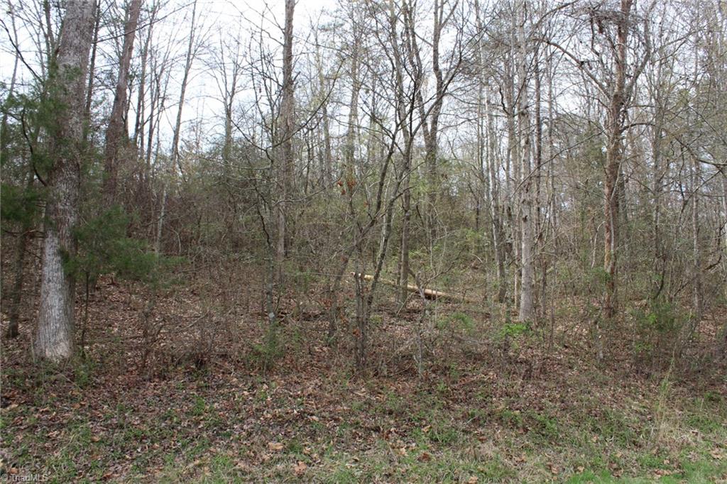 0 Vashti Road Hiddenite, NC 28636 - Photo 29 of 50