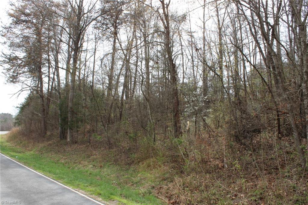 0 Vashti Road Hiddenite, NC 28636 - Photo 30 of 50