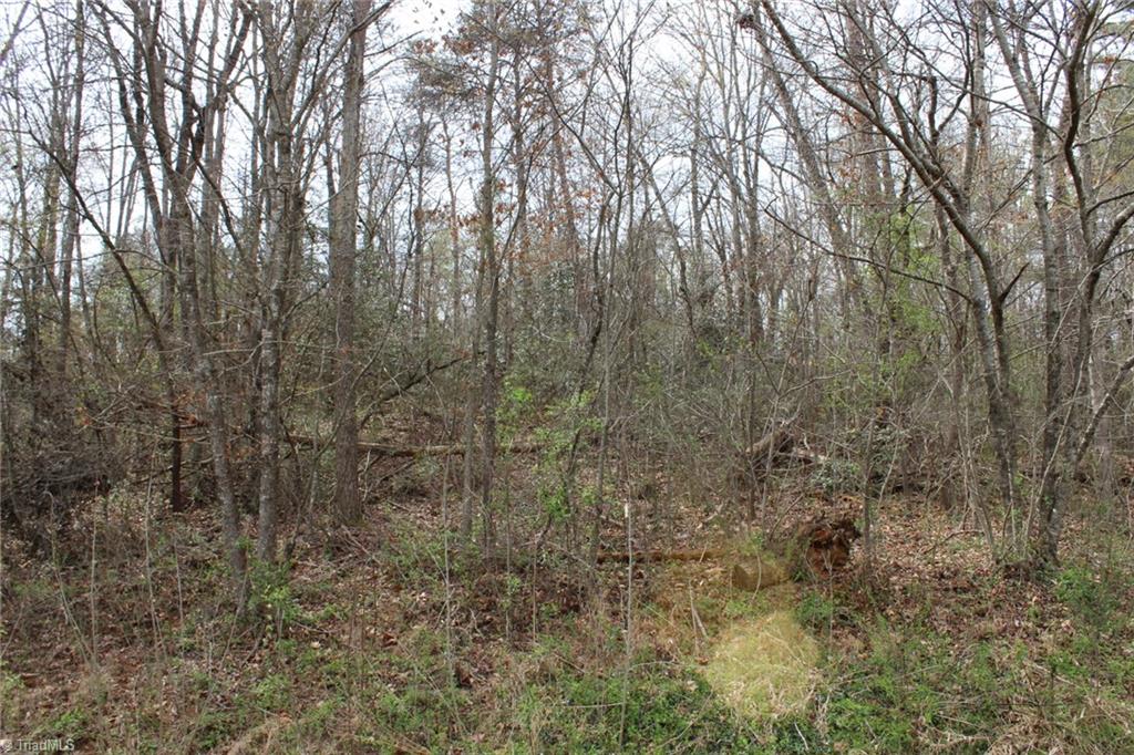 0 Vashti Road Hiddenite, NC 28636 - Photo 31 of 50