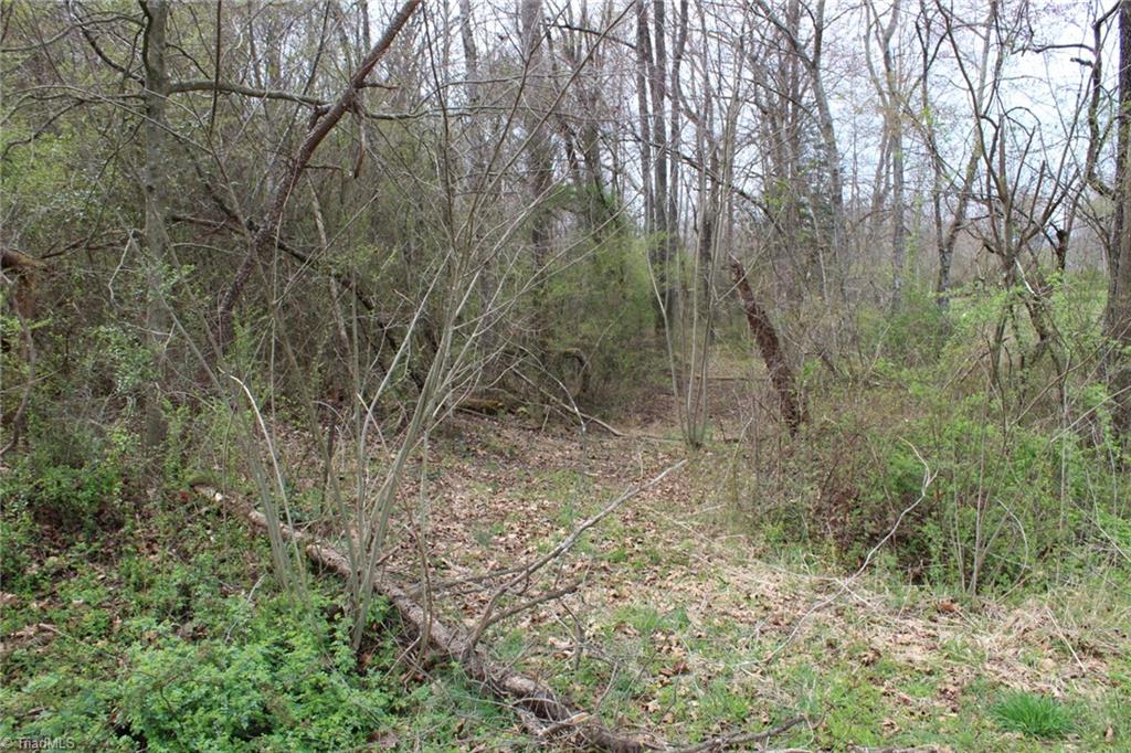 0 Vashti Road Hiddenite, NC 28636 - Photo 32 of 50