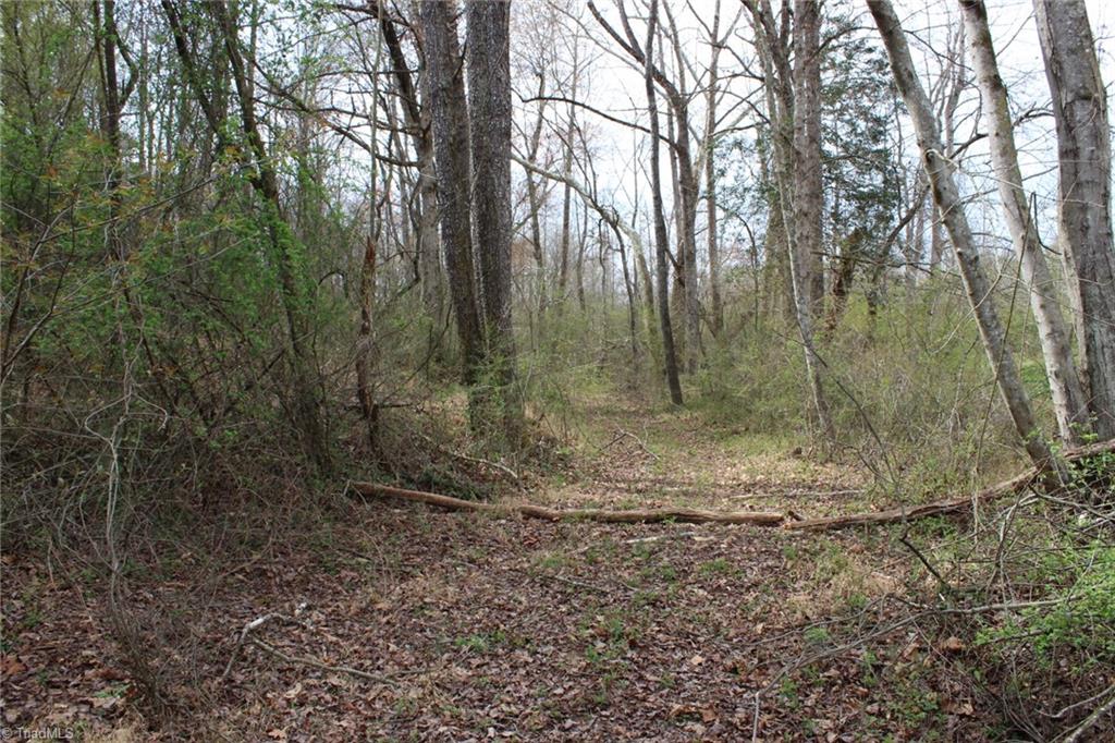 0 Vashti Road Hiddenite, NC 28636 - Photo 34 of 50