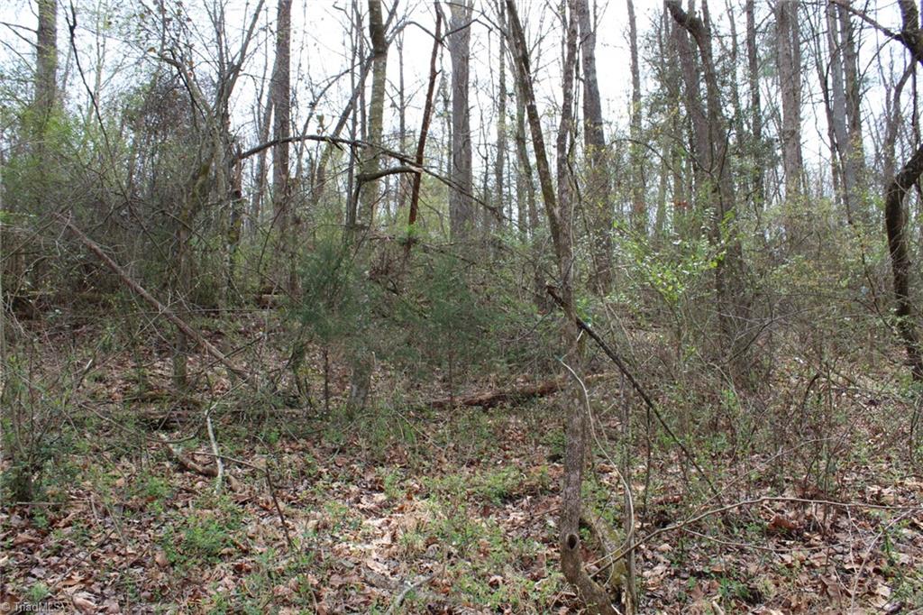 0 Vashti Road Hiddenite, NC 28636 - Photo 37 of 50