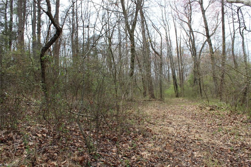 0 Vashti Road Hiddenite, NC 28636 - Photo 38 of 50