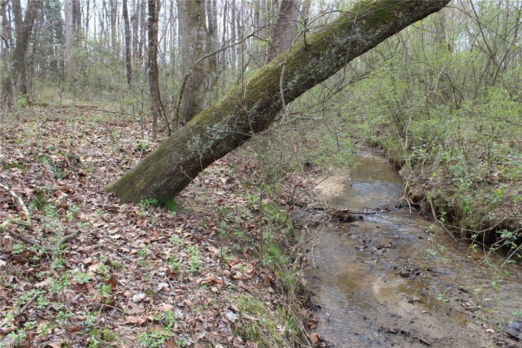 0 Vashti Road Hiddenite, NC 28636 - Photo 39 of 50