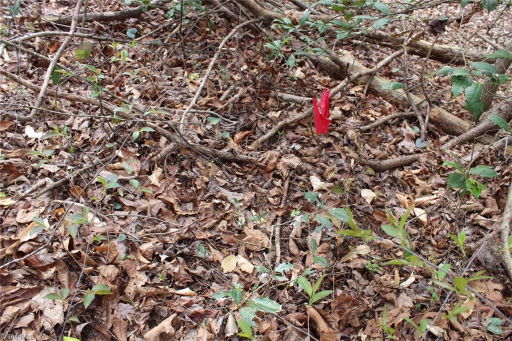 0 Vashti Road Hiddenite, NC 28636 - Photo 41 of 50