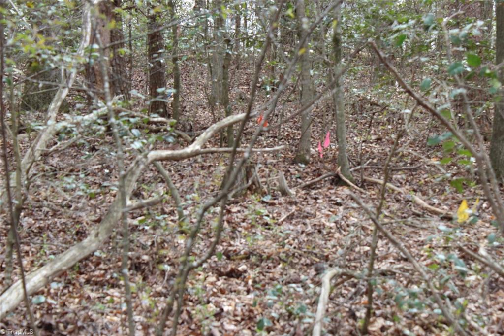 0 Vashti Road Hiddenite, NC 28636 - Photo 42 of 50