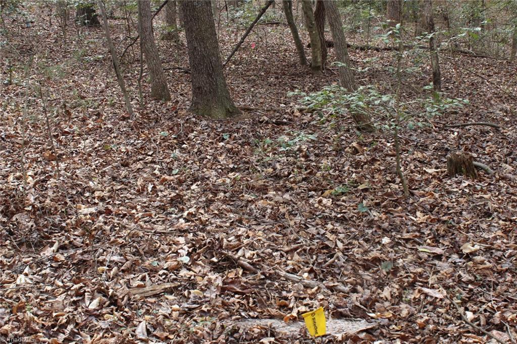 0 Vashti Road Hiddenite, NC 28636 - Photo 43 of 50