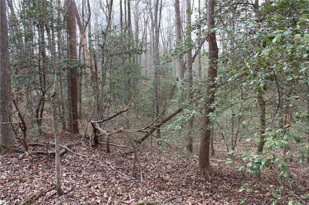 0 Vashti Road Hiddenite, NC 28636 - Photo 44 of 50