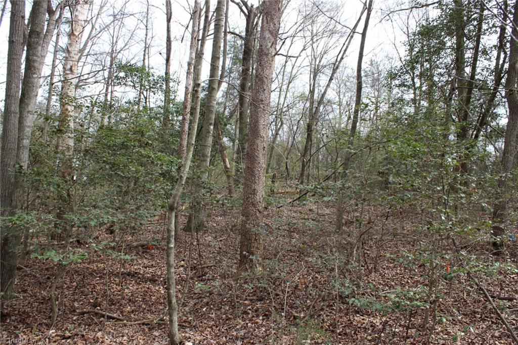 0 Vashti Road Hiddenite, NC 28636 - Photo 45 of 50