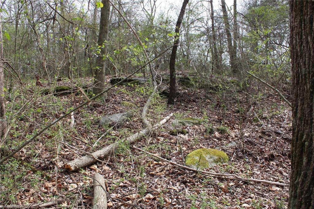 0 Vashti Road Hiddenite, NC 28636 - Photo 46 of 50