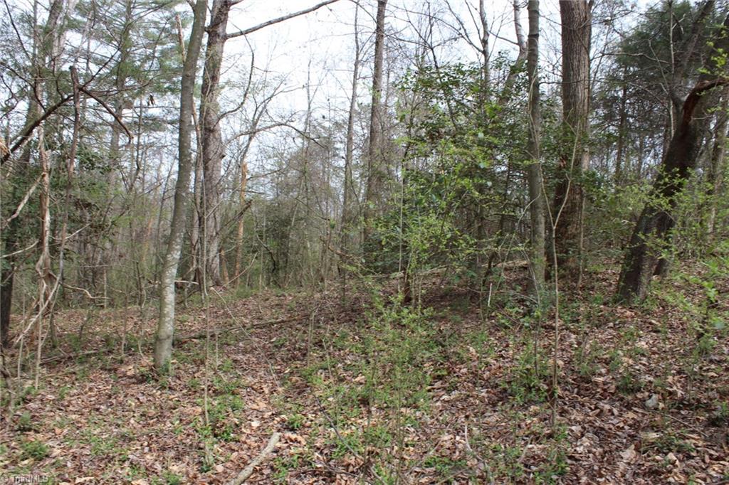 0 Vashti Road Hiddenite, NC 28636 - Photo 47 of 50