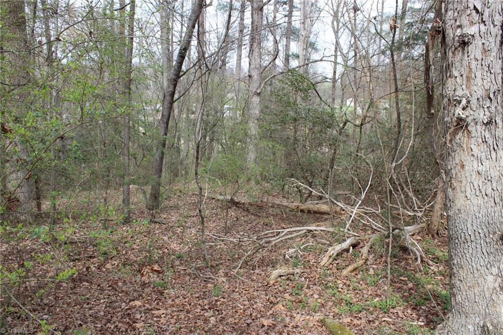 0 Vashti Road Hiddenite, NC 28636 - Photo 48 of 50