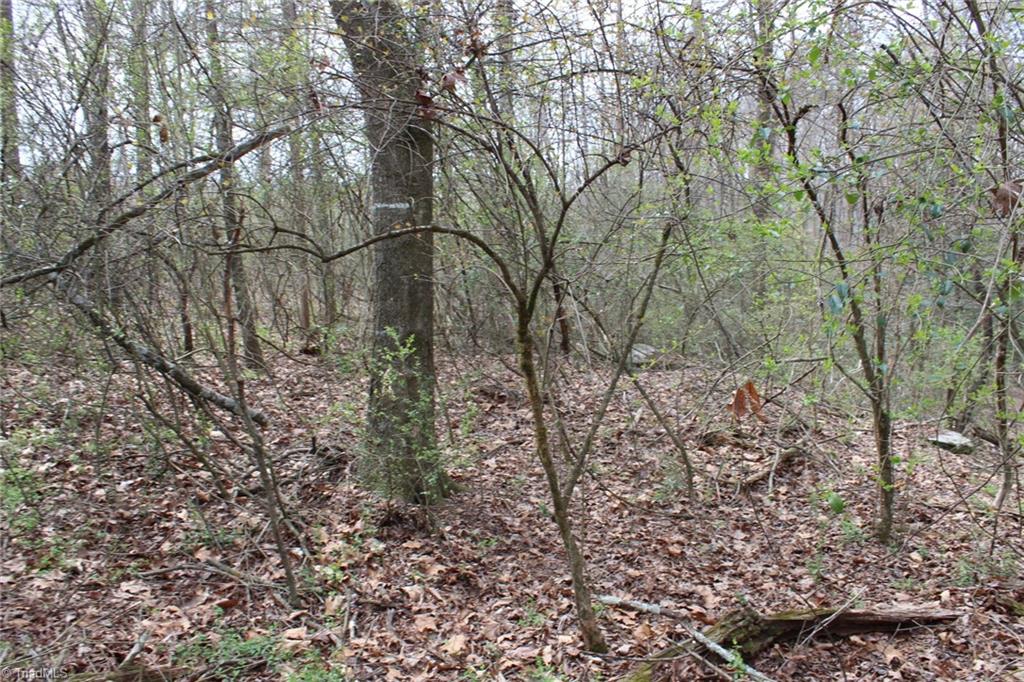 0 Vashti Road Hiddenite, NC 28636 - Photo 49 of 50