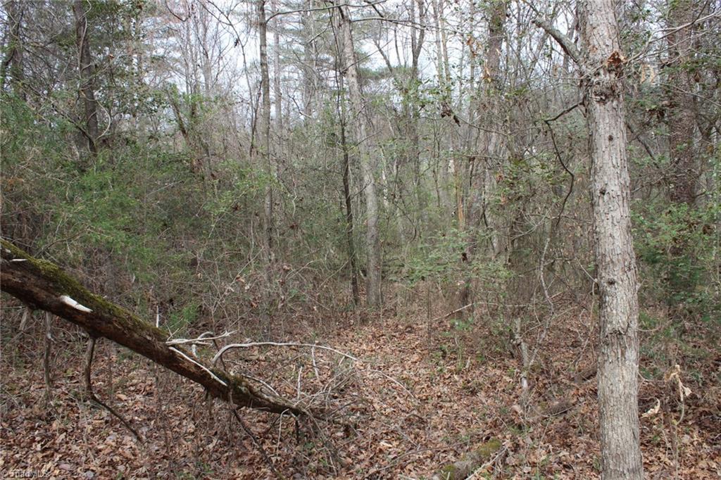 0 Vashti Road Hiddenite, NC 28636 - Photo 50 of 50