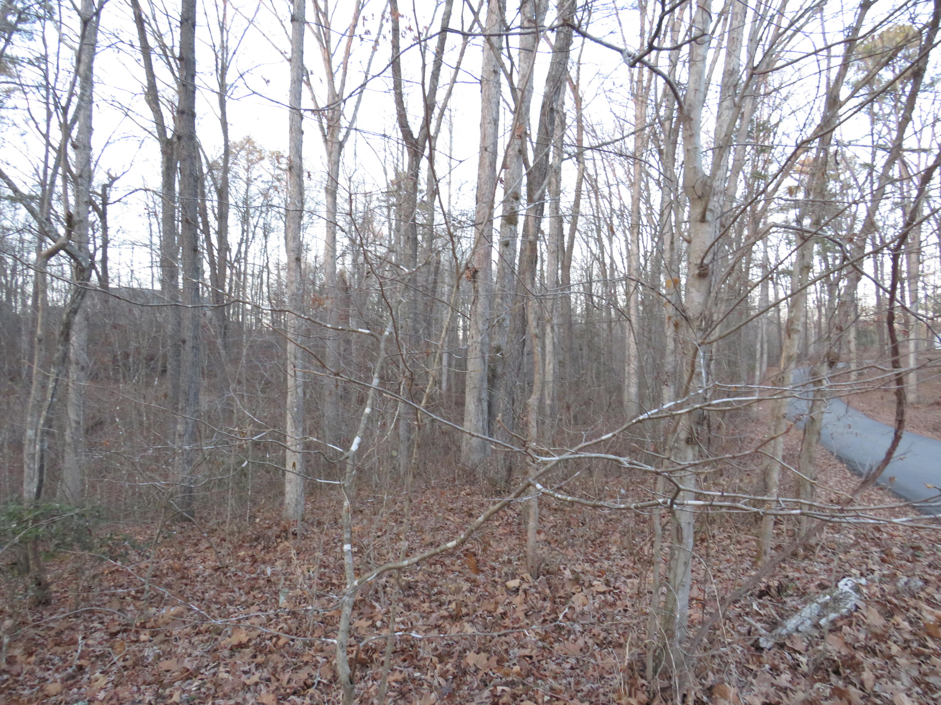 9999 Edgewater Road Corbin, KY 40701 - Photo 2 of 5 IMG_2894