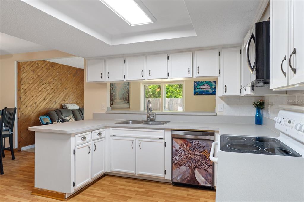 6337 Radford Street Spring Hill, FL 34606 - Photo 19 of 41
