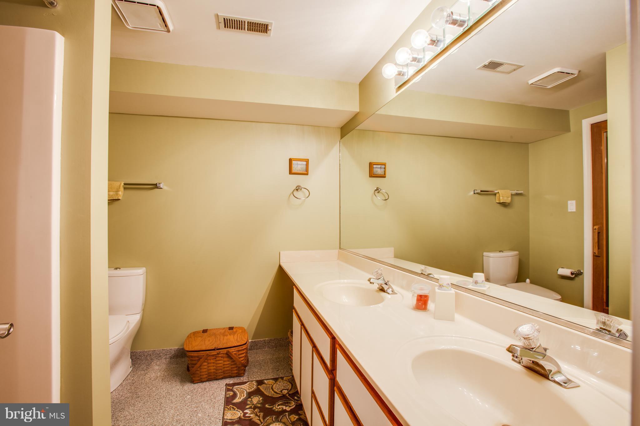6600 Fox Ridge Road Spotsylvania, VA 22551 - Photo 24 of 30 Lower Level Full Bathroom 4.