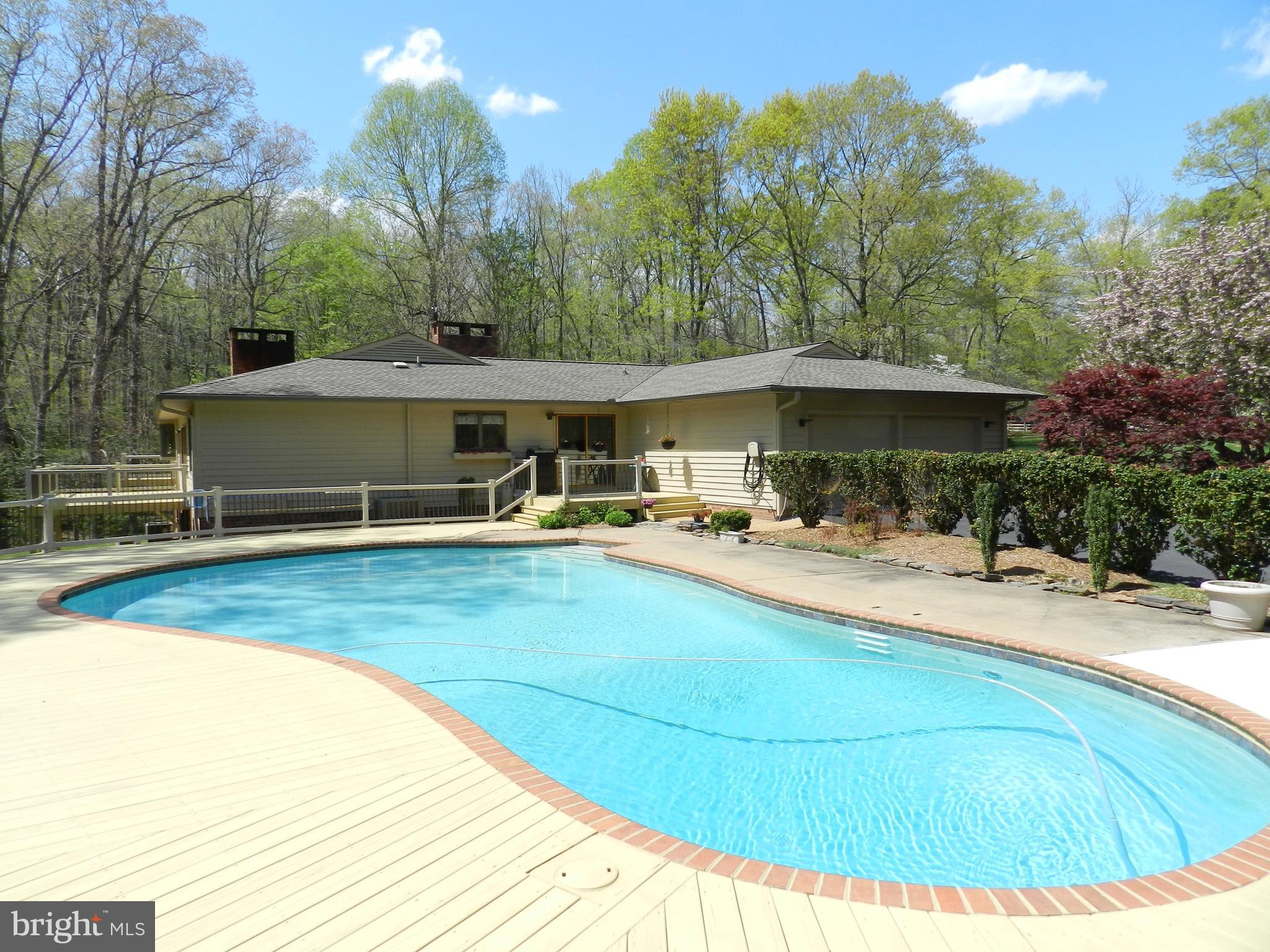 6600 Fox Ridge Road Spotsylvania, VA 22551 - Photo 25 of 30 Visit Today, Dive in Tomorrow or Today if you like