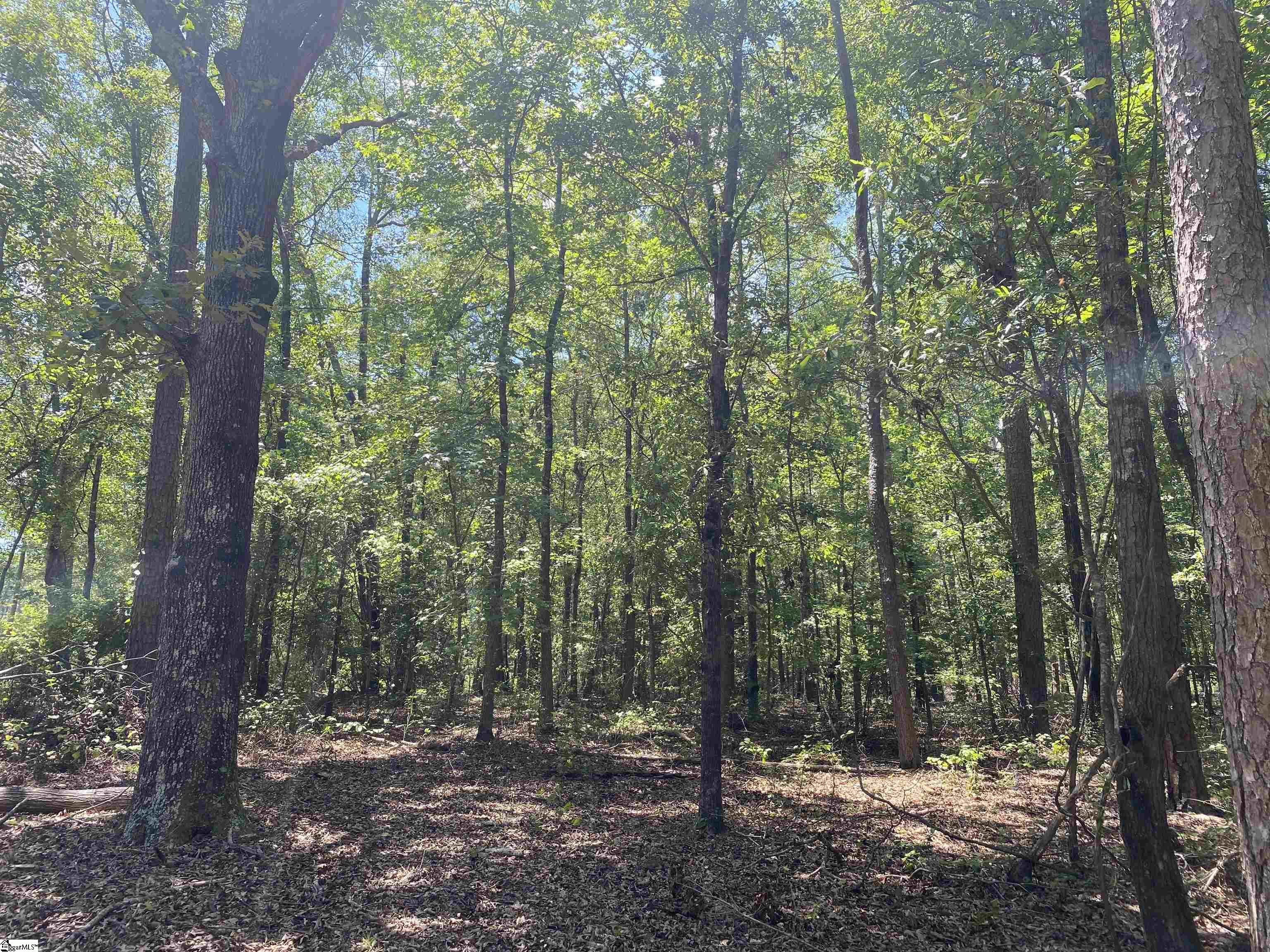 0 Snow Road Pelzer, SC 29669 - Photo 15 of 31 Gallery Image 15