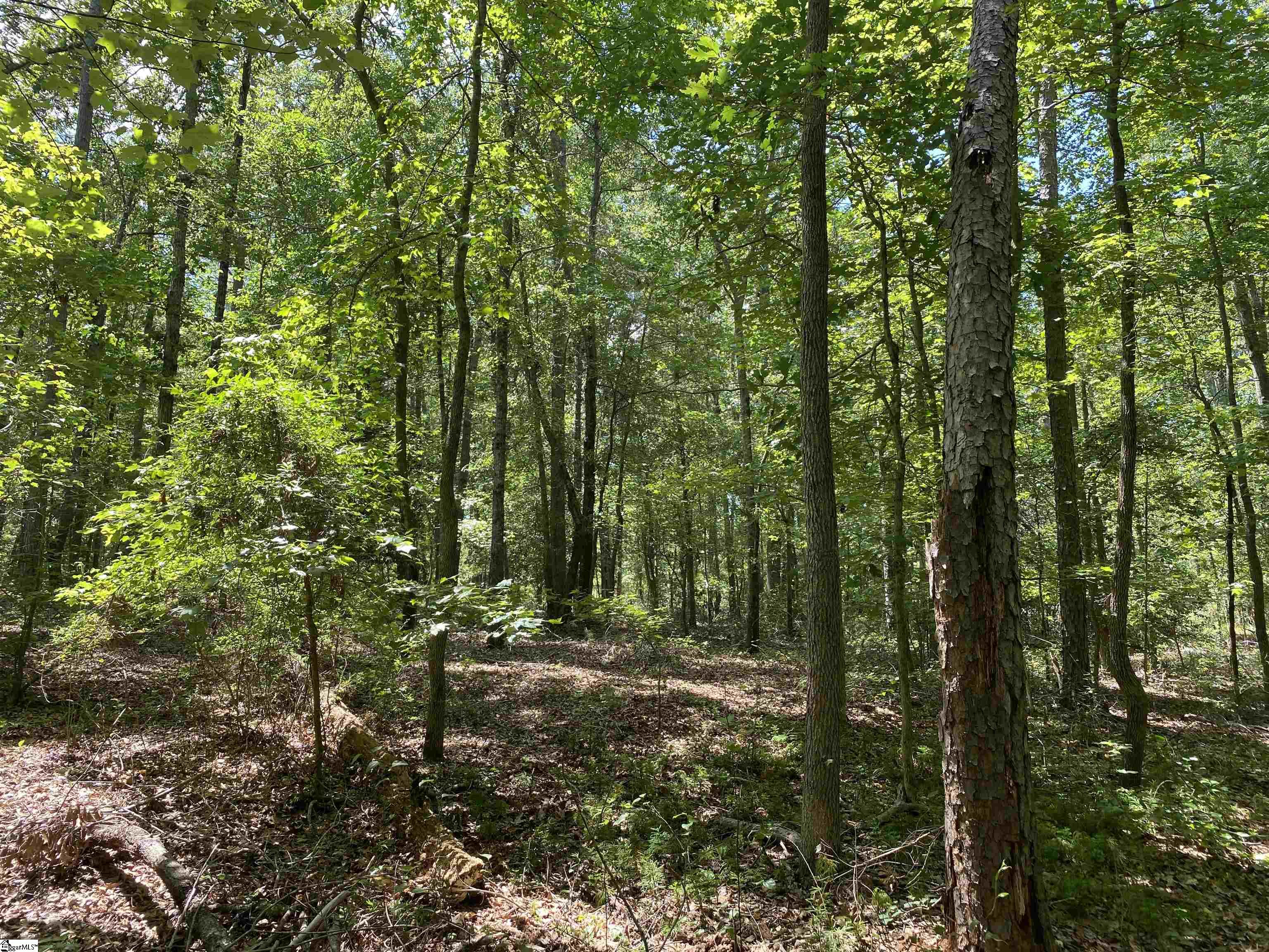 0 Snow Road Pelzer, SC 29669 - Photo 19 of 31 Gallery Image 19