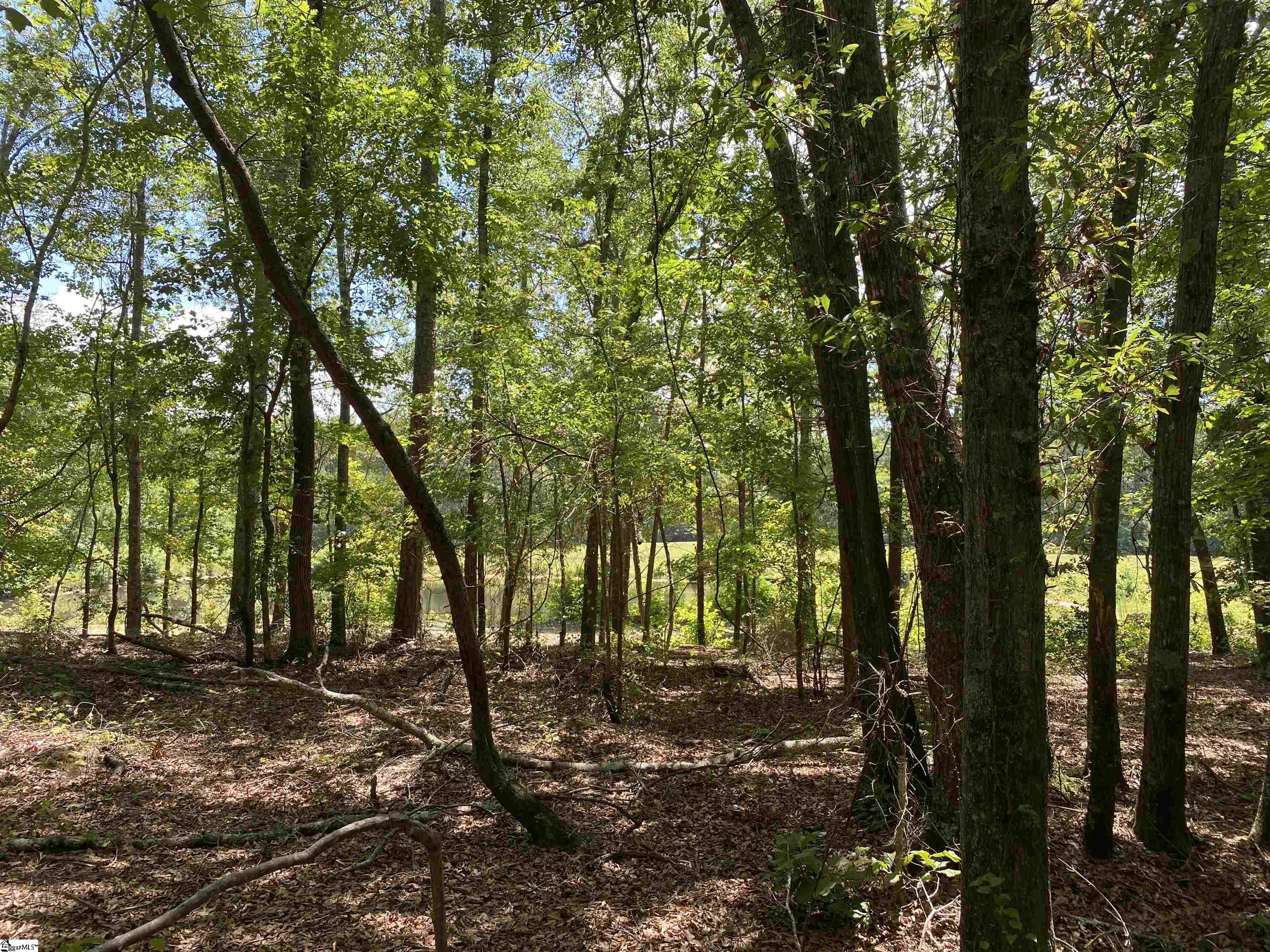 0 Snow Road Pelzer, SC 29669 - Photo 24 of 31 Gallery Image 24