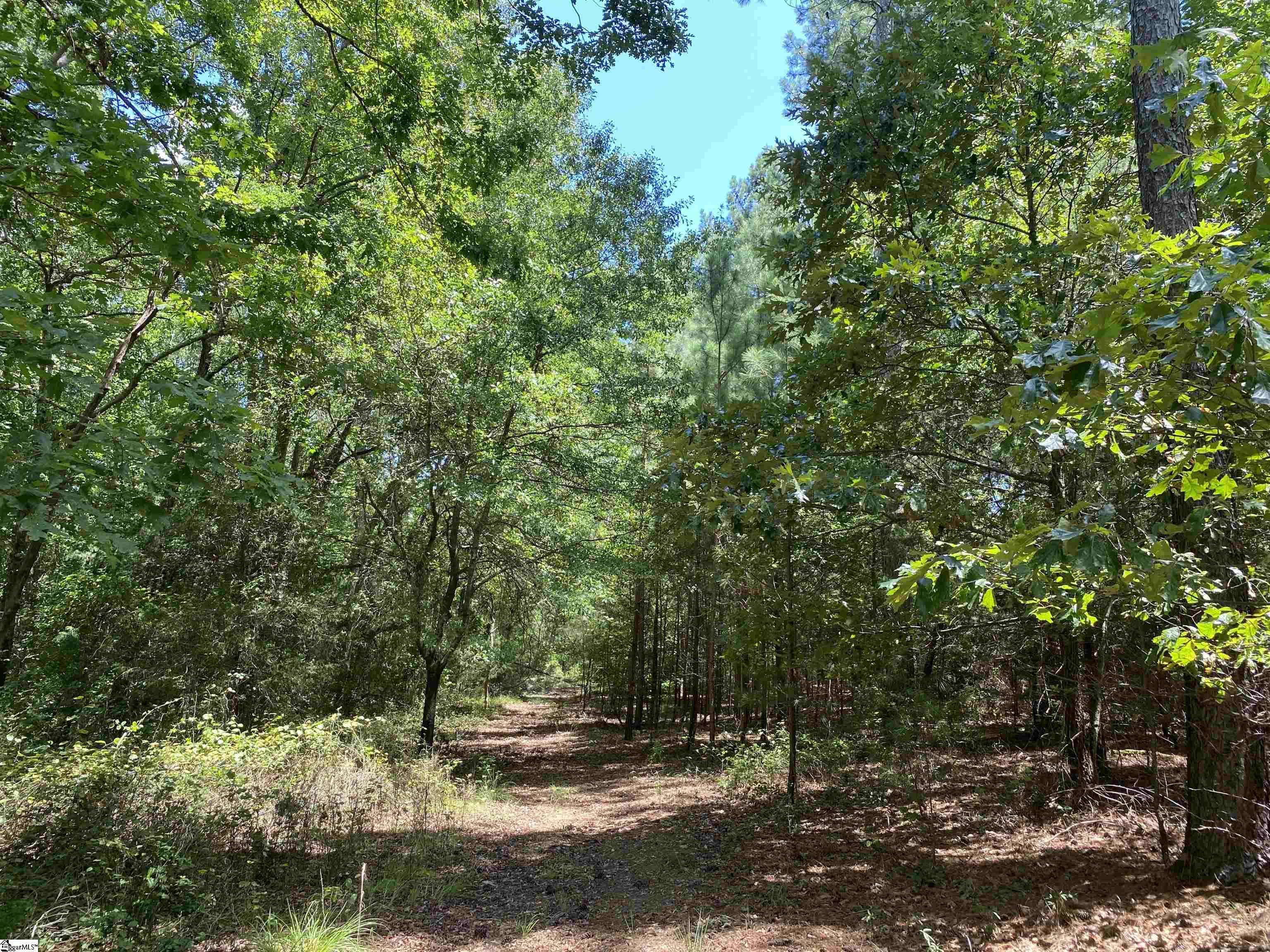 0 Snow Road Pelzer, SC 29669 - Photo 25 of 31 Gallery Image 25