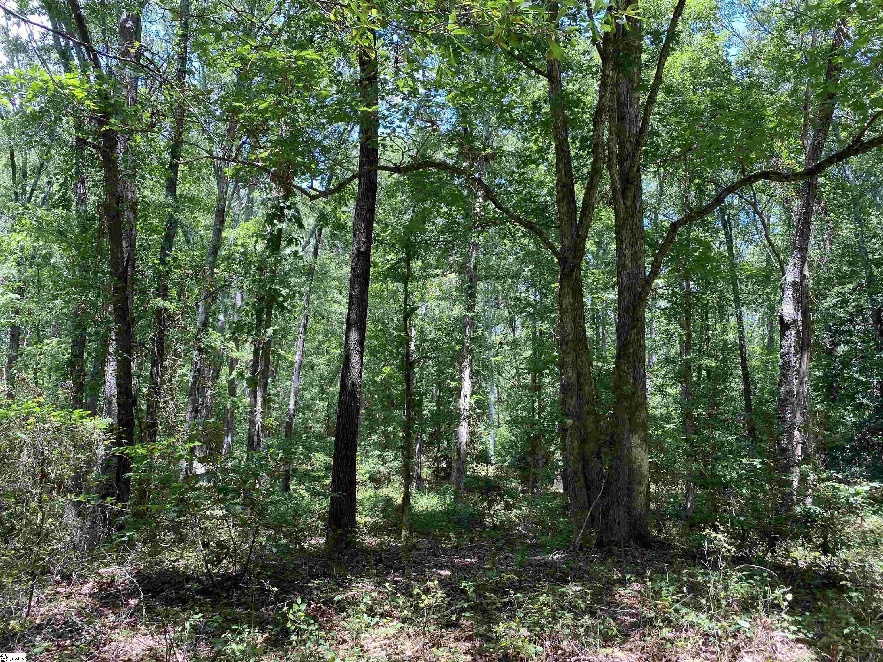 0 Snow Road Pelzer, SC 29669 - Photo 27 of 31 Gallery Image 27