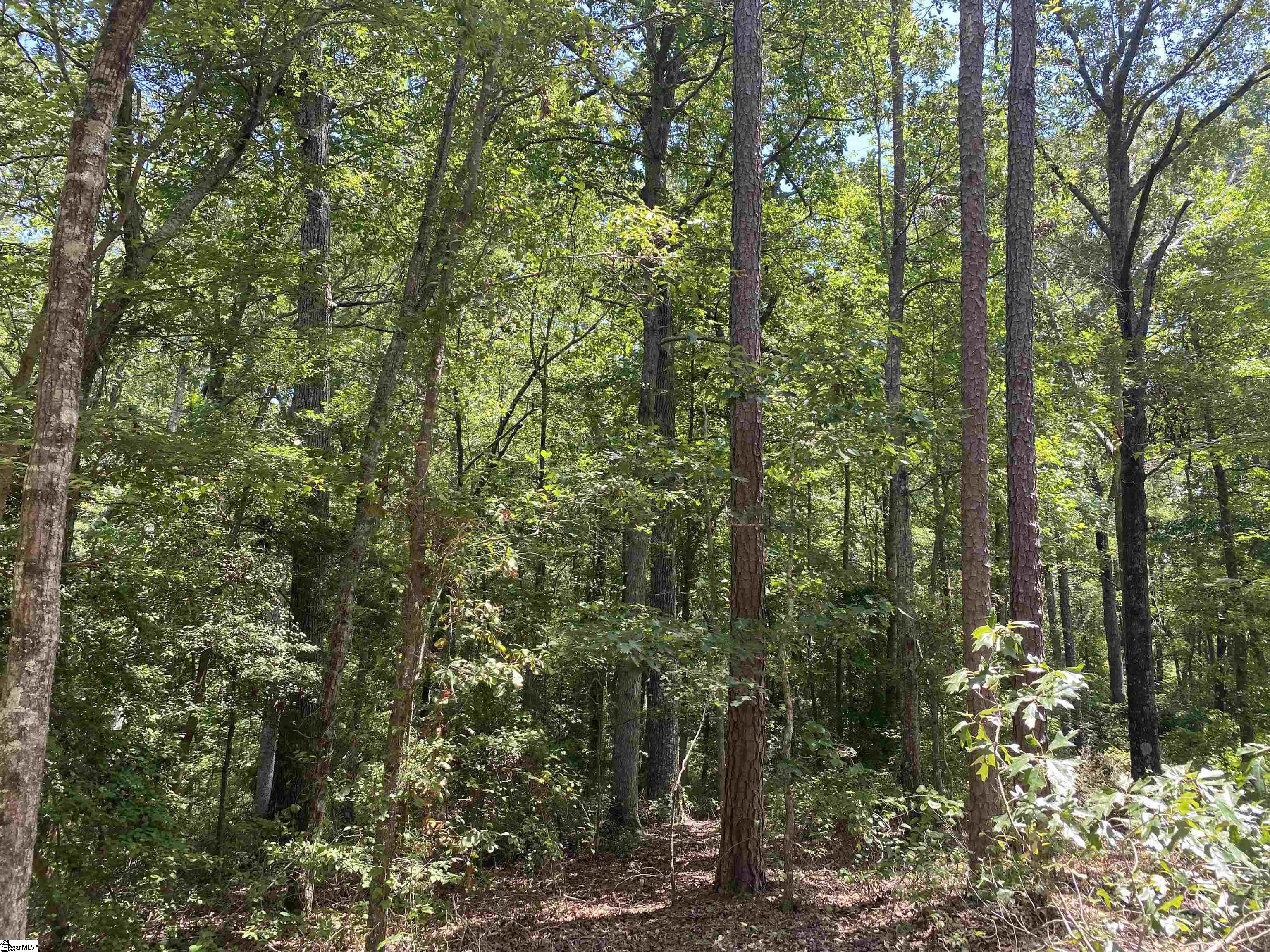 0 Snow Road Pelzer, SC 29669 - Photo 28 of 31 Gallery Image 28