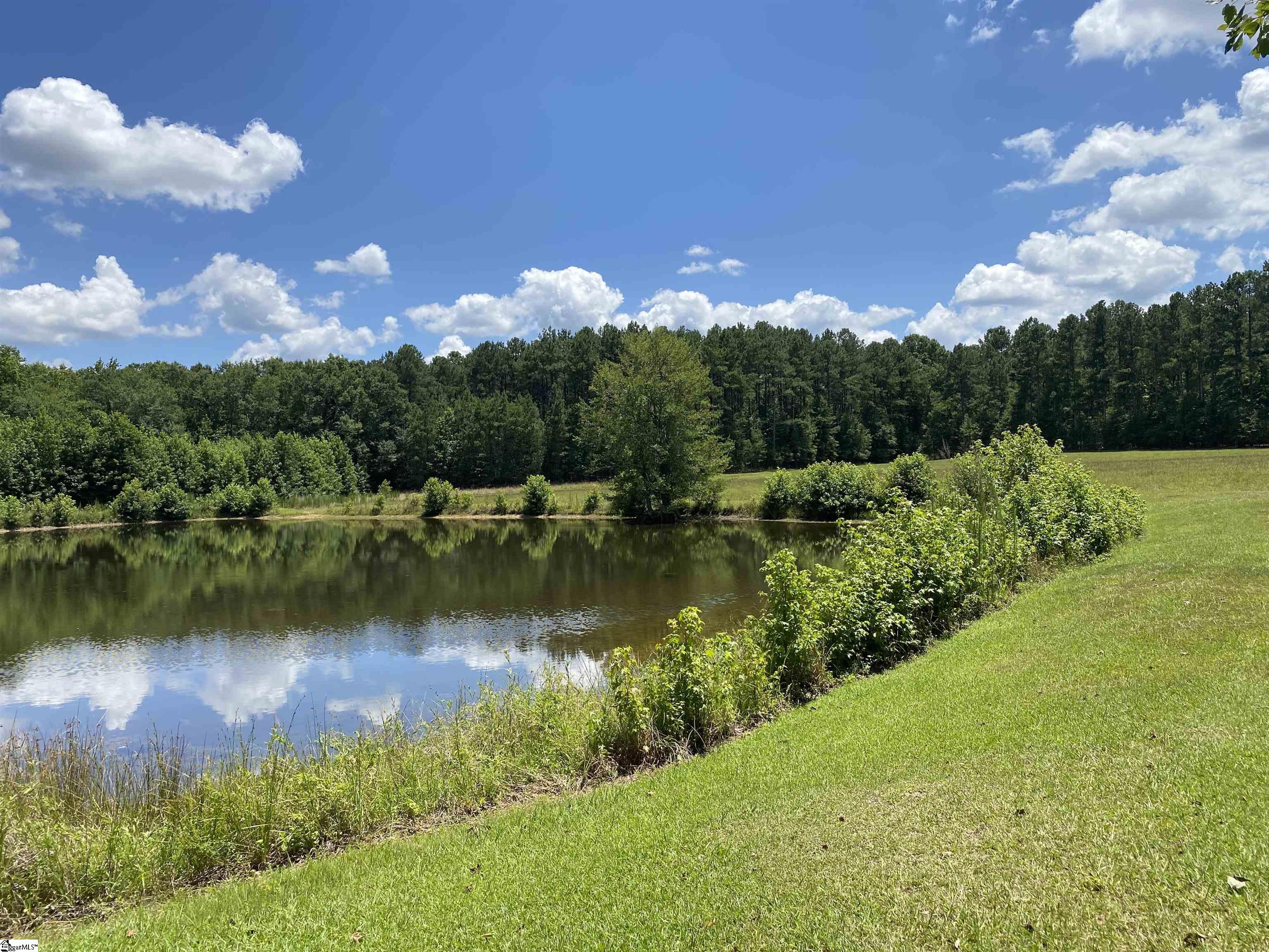 0 Snow Road Pelzer, SC 29669 - Photo 3 of 31 Gallery Image 3