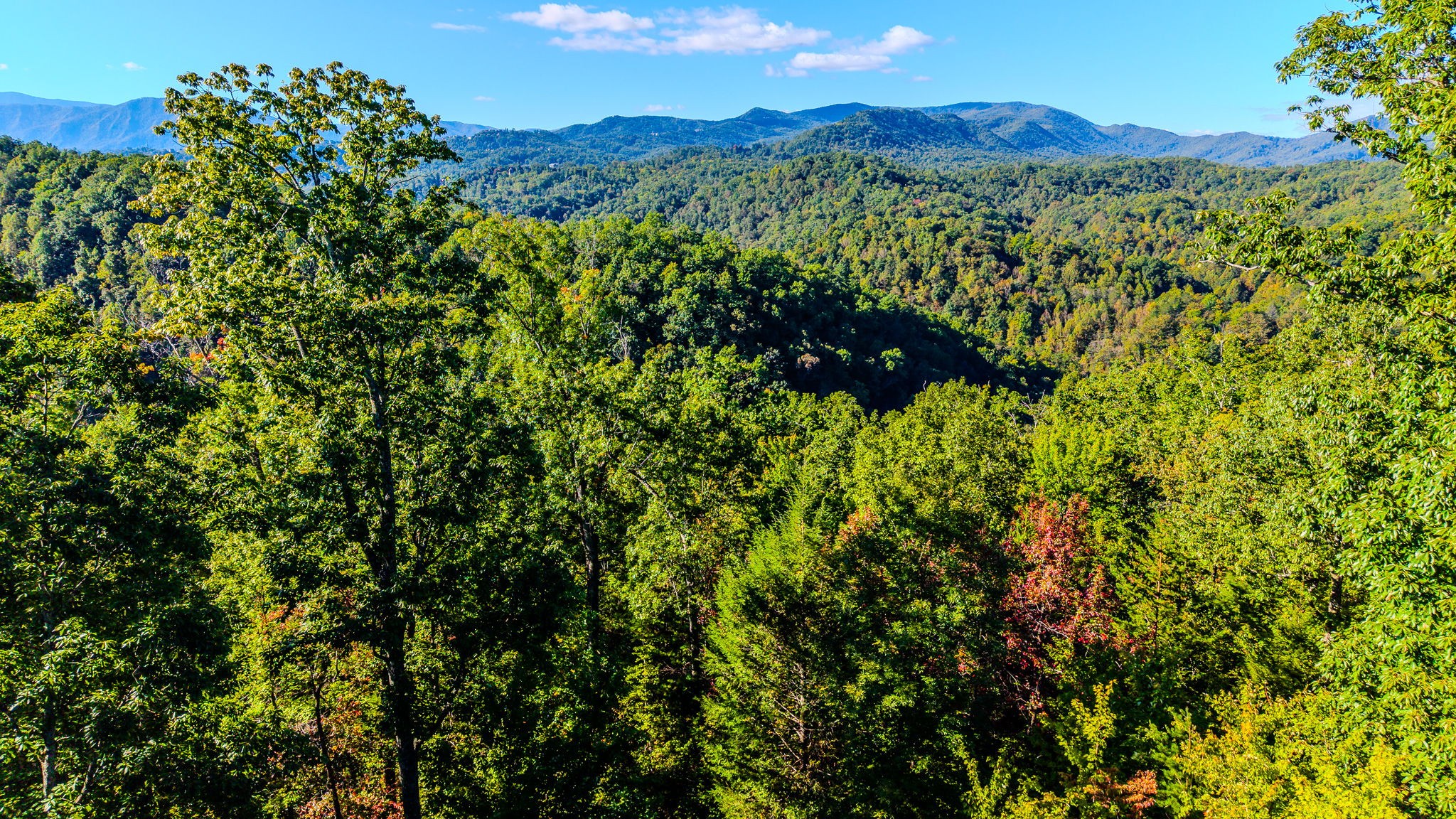 429 King Branch Road Sevierville, TN 37876 - Photo 7 of 13 Gallery Image 7