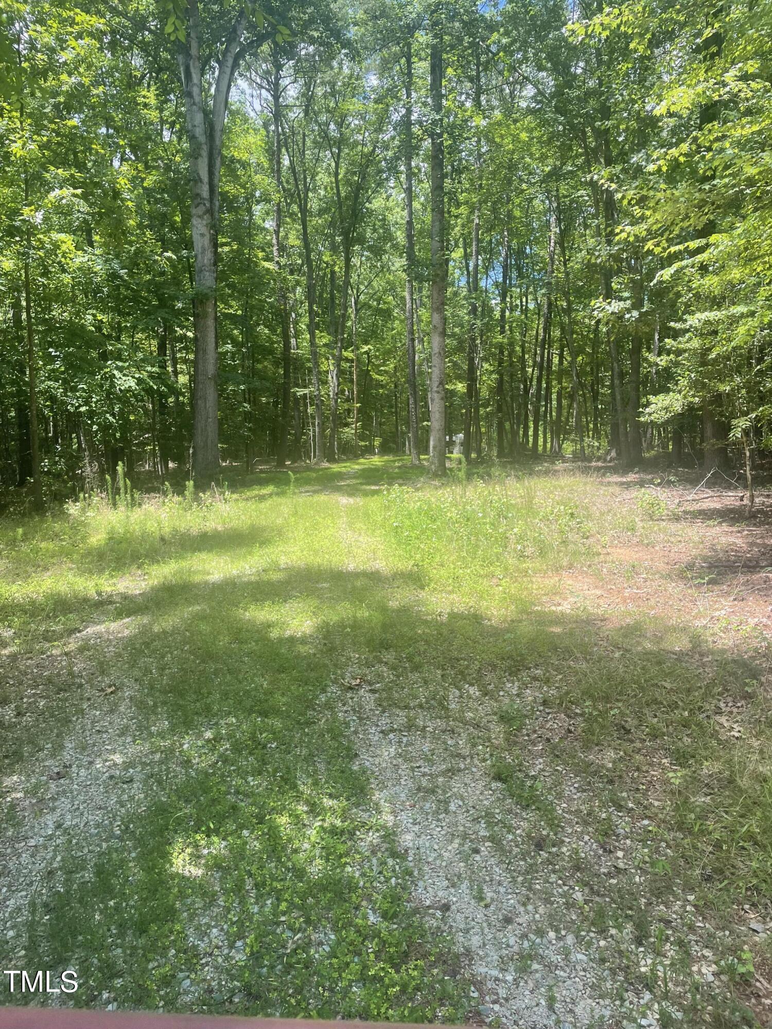 692 Crabtree Glenn Road Rougemont, NC 27572 - Photo 2 of 4 a view of a trees in a yard