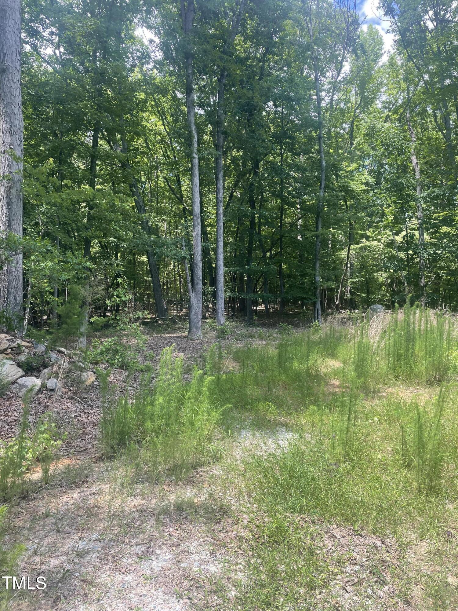 692 Crabtree Glenn Road Rougemont, NC 27572 - Photo 3 of 4 a view of outdoor space with green field and trees