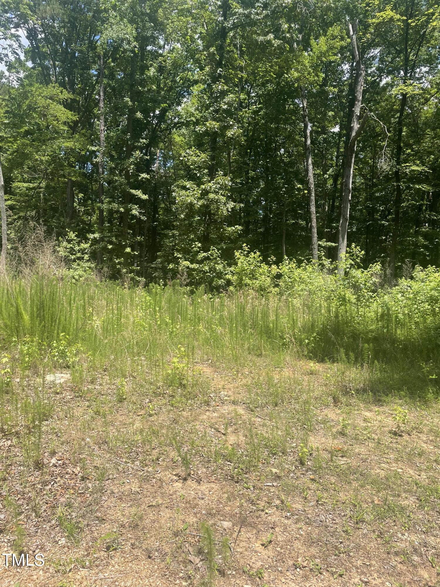 692 Crabtree Glenn Road Rougemont, NC 27572 - Photo 4 of 4