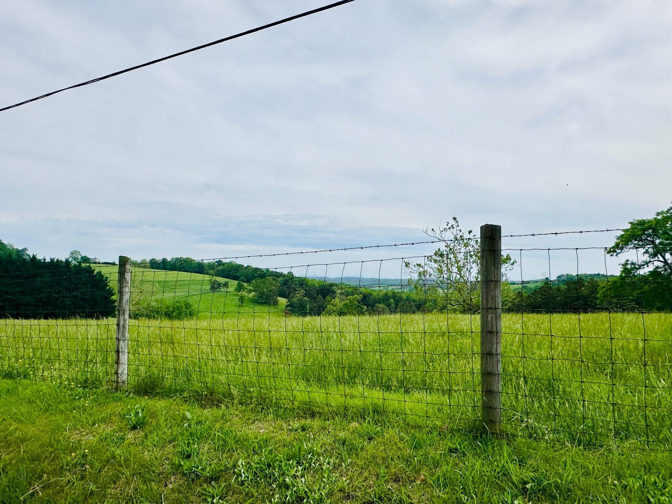 364 Summit Church Road Bridgewater, VA 22812 - Photo 31 of 32 a view of a field with a big yard and plants