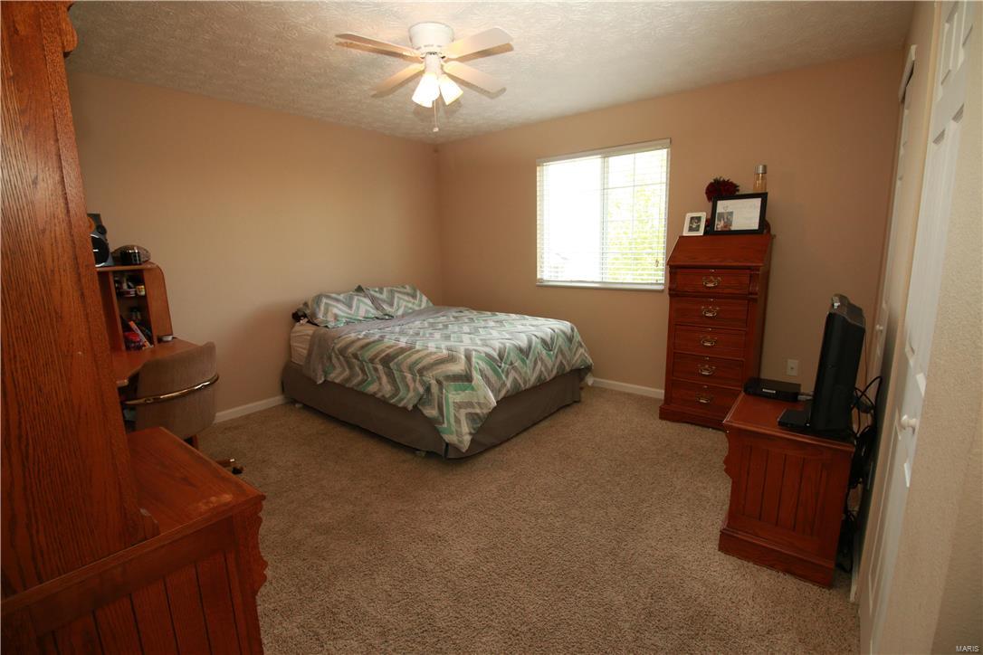 437 Mockingbird Lane Waterloo, IL 62298 - Photo 16 of 32