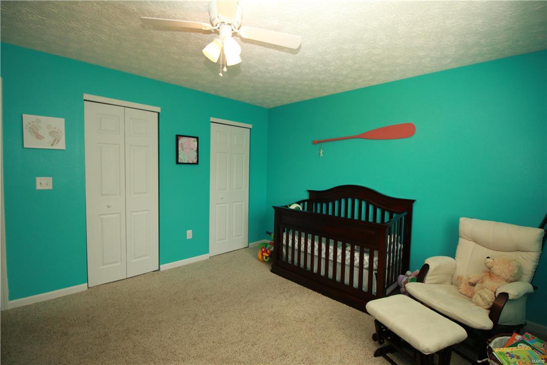 437 Mockingbird Lane Waterloo, IL 62298 - Photo 19 of 32