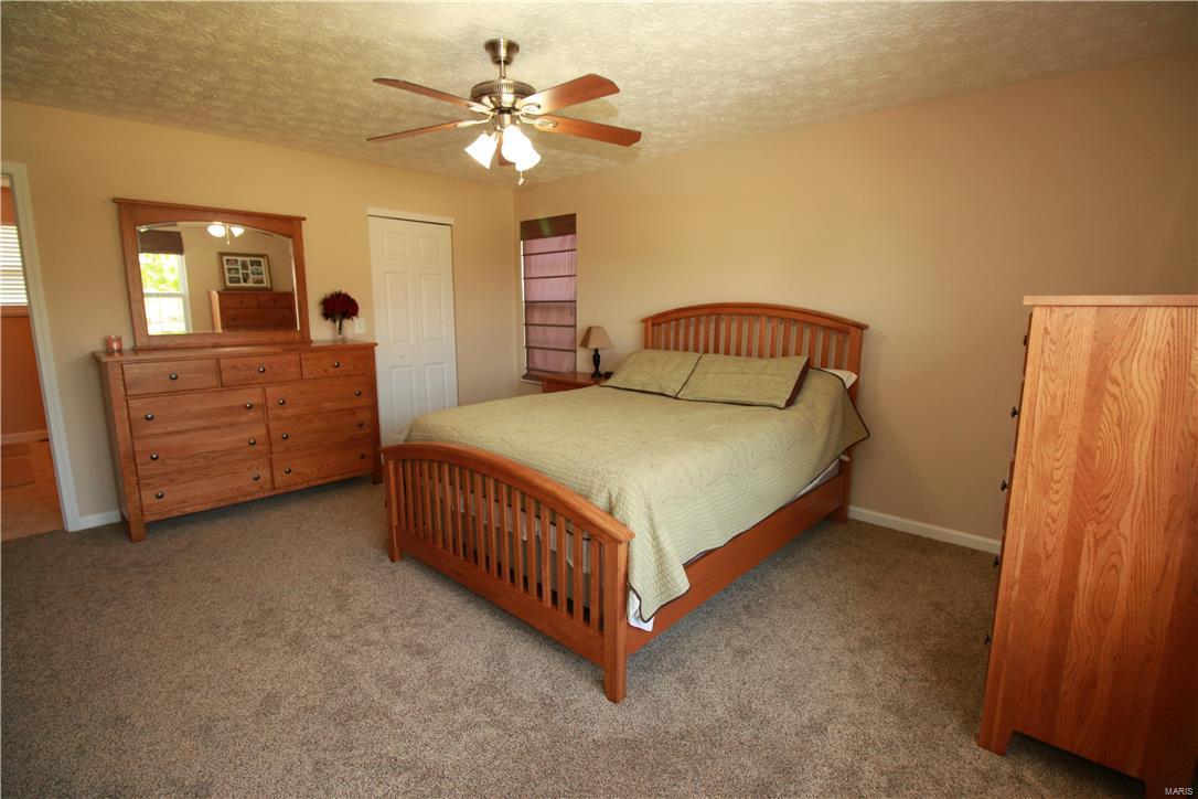 437 Mockingbird Lane Waterloo, IL 62298 - Photo 27 of 32