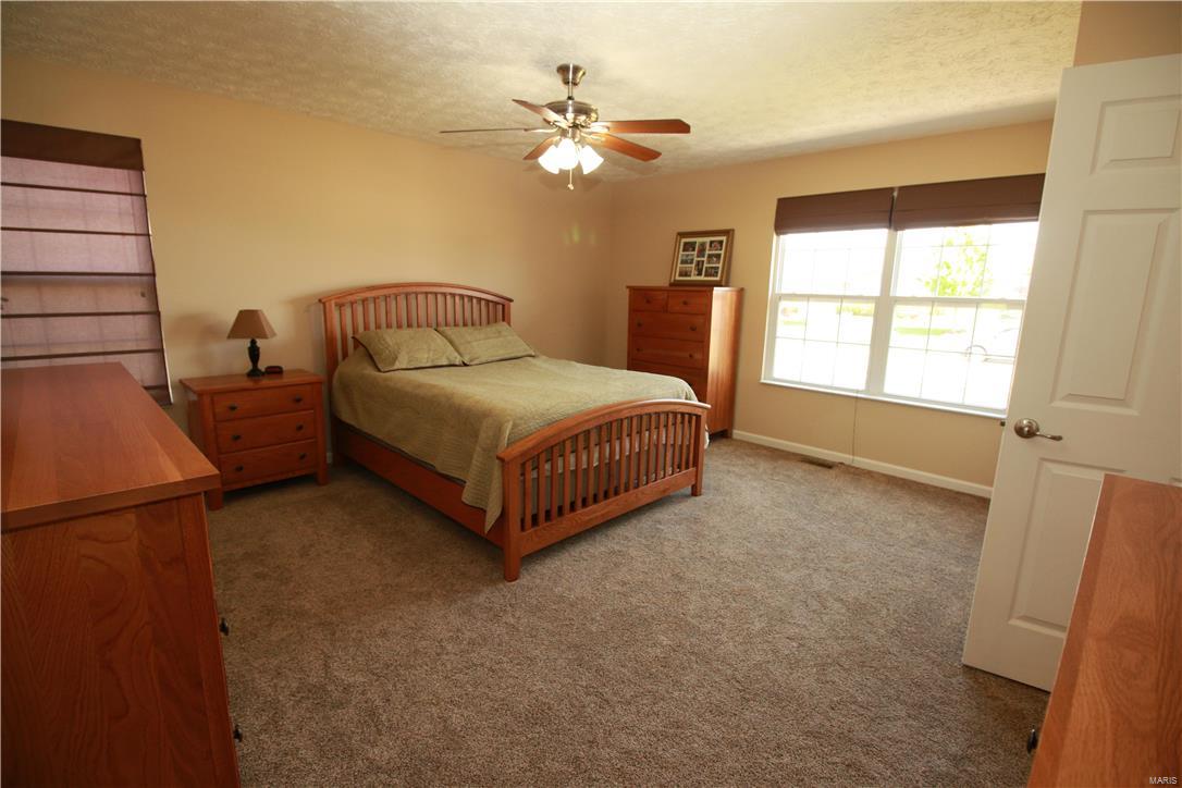 437 Mockingbird Lane Waterloo, IL 62298 - Photo 28 of 32