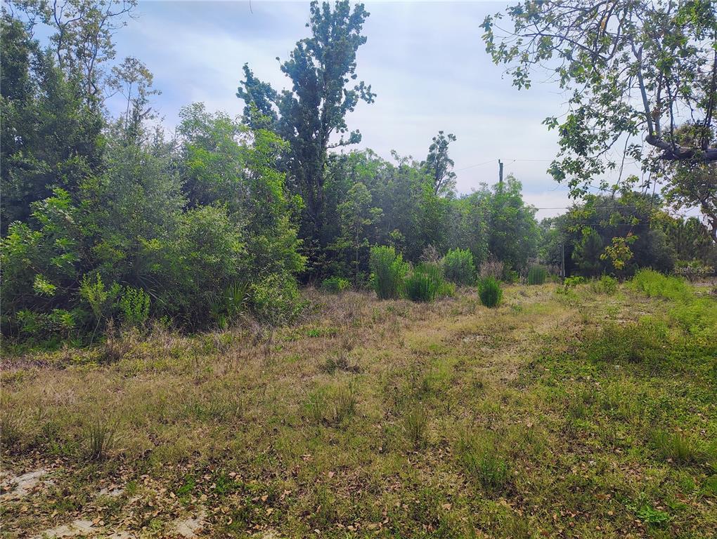 a view of a field with trees in the background