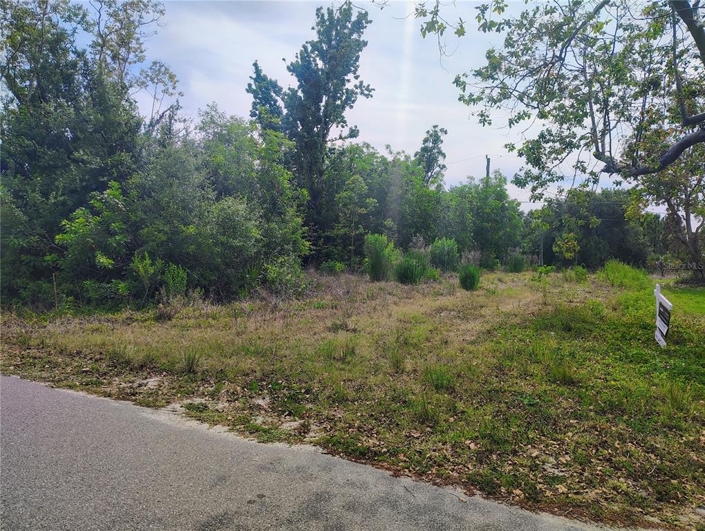 9283 Mandy Street Punta Gorda, FL 33982 - Photo 2 of 3 a view of a field with lots of bushes