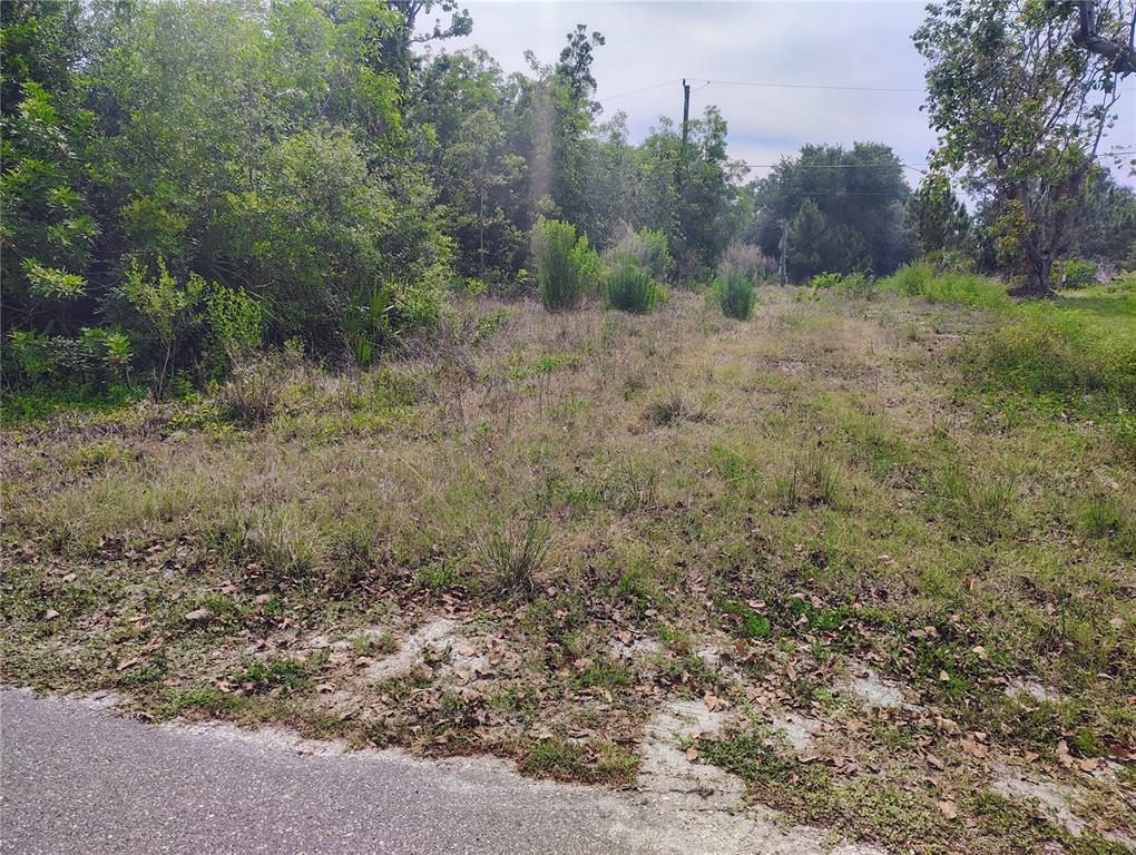 9283 Mandy Street Punta Gorda, FL 33982 - Photo 3 of 3 a view of a dry yard with trees