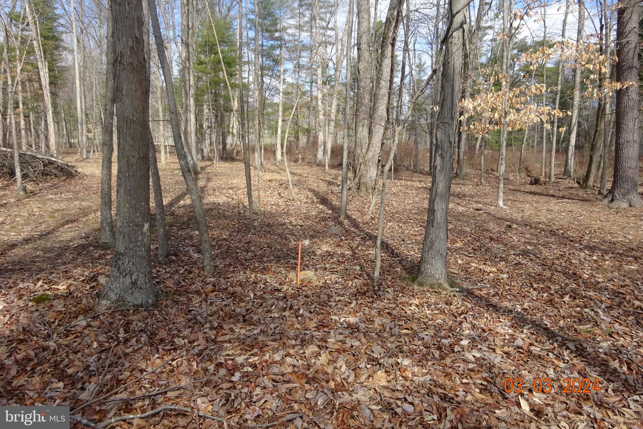 Lot 3 Amberson Road Spring Run, PA 17262 - Photo 3 of 11
