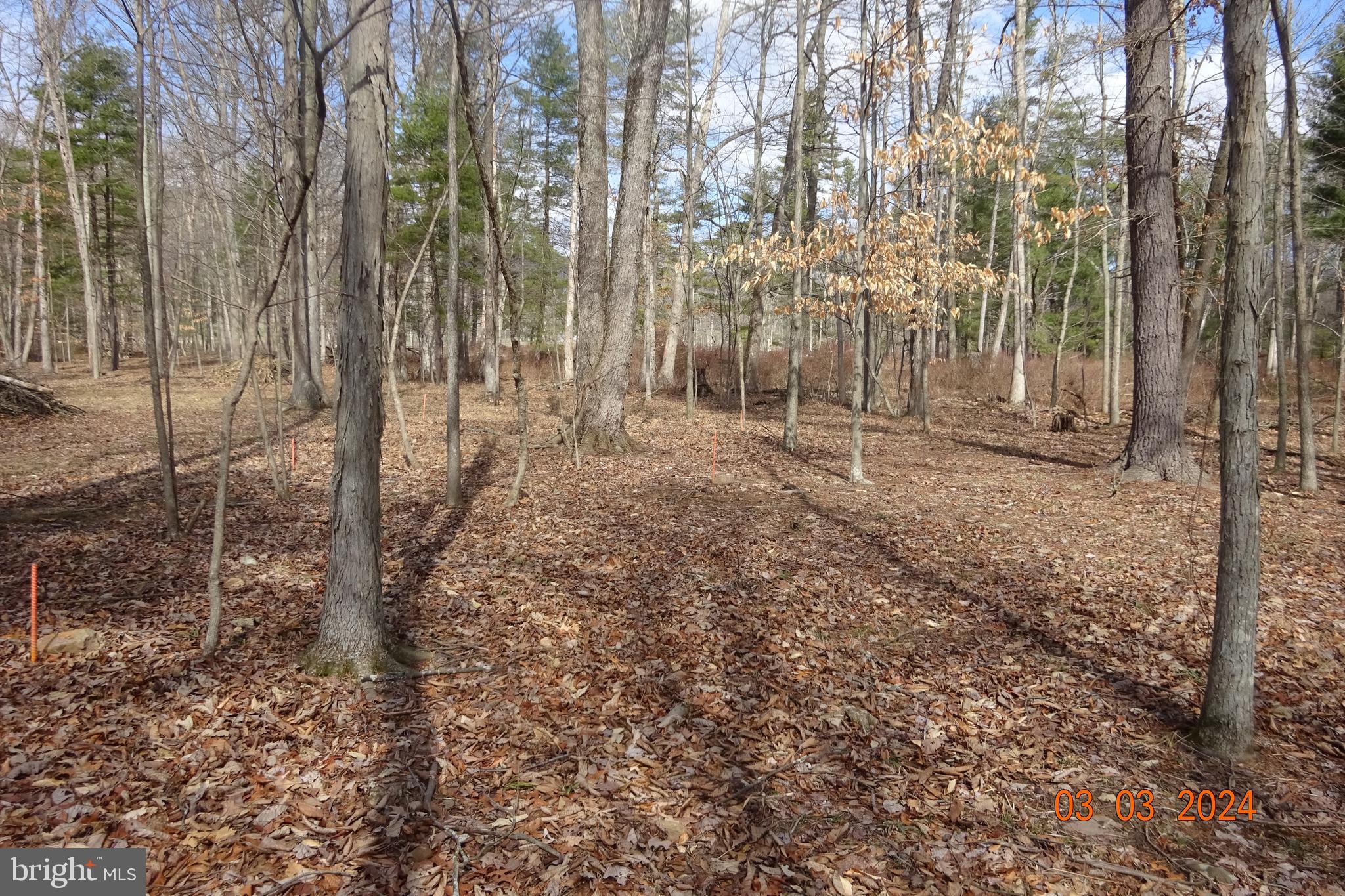 Lot 3 Amberson Road Spring Run, PA 17262 - Photo 4 of 11