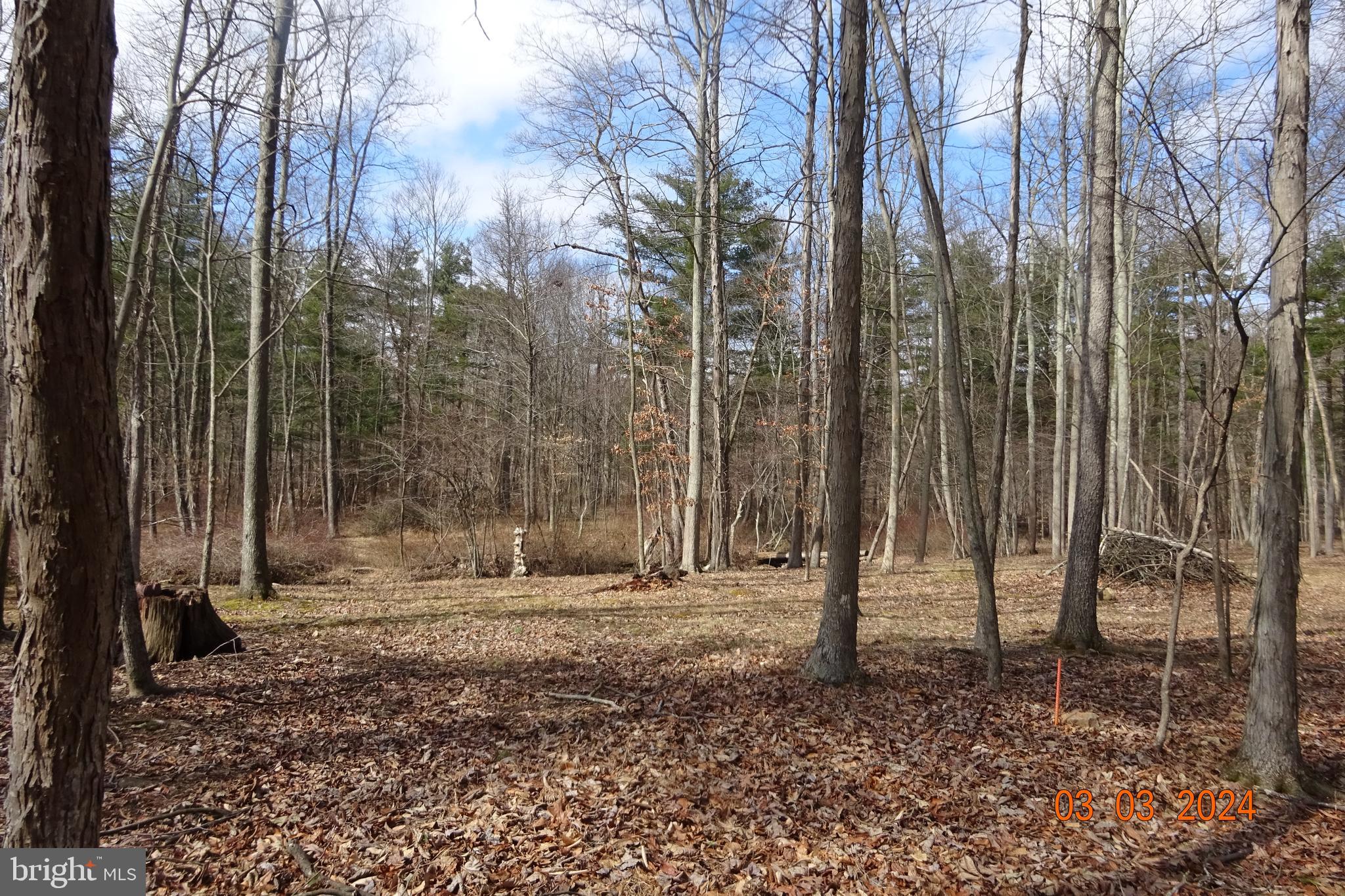 Lot 3 Amberson Road Spring Run, PA 17262 - Photo 6 of 11