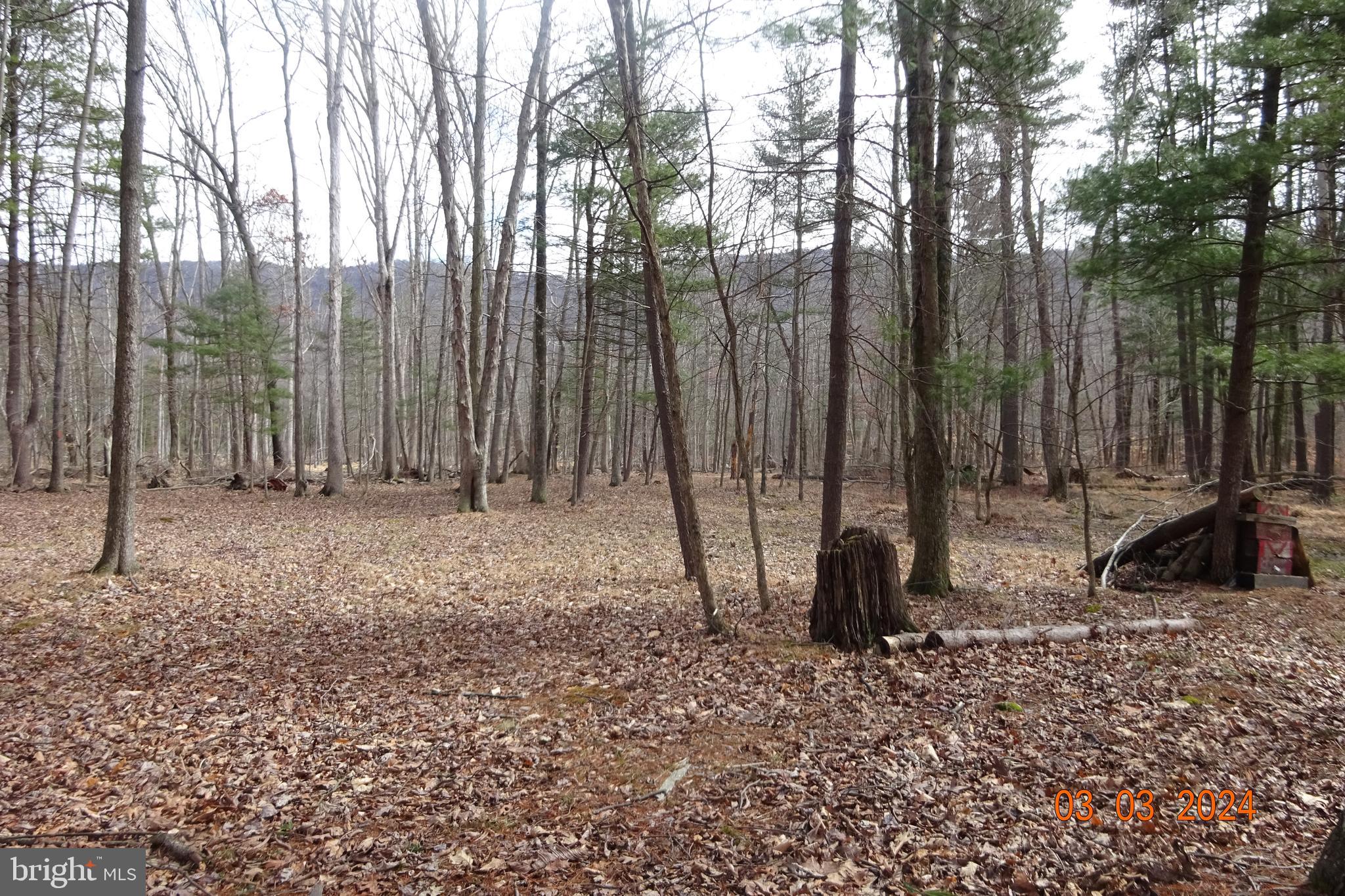 Lot 3 Amberson Road Spring Run, PA 17262 - Photo 8 of 11