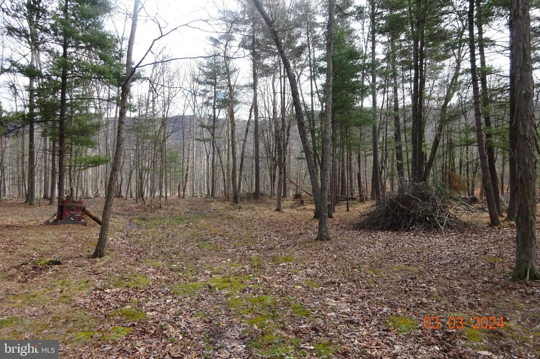 Lot 3 Amberson Road Spring Run, PA 17262 - Photo 9 of 11