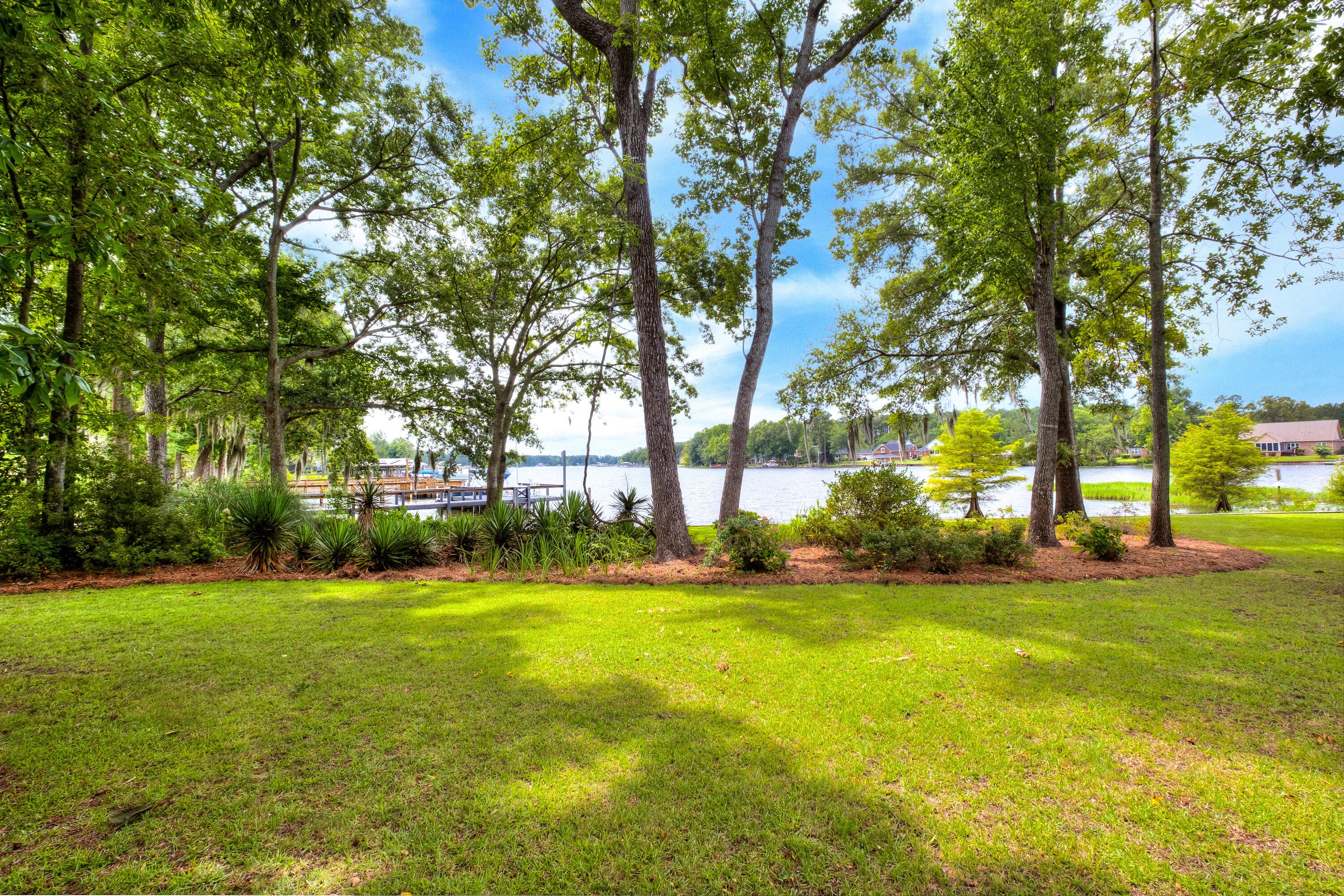 33 Ridge Lake Drive Manning, SC 29102 - Photo 4 of 45 Back Yard