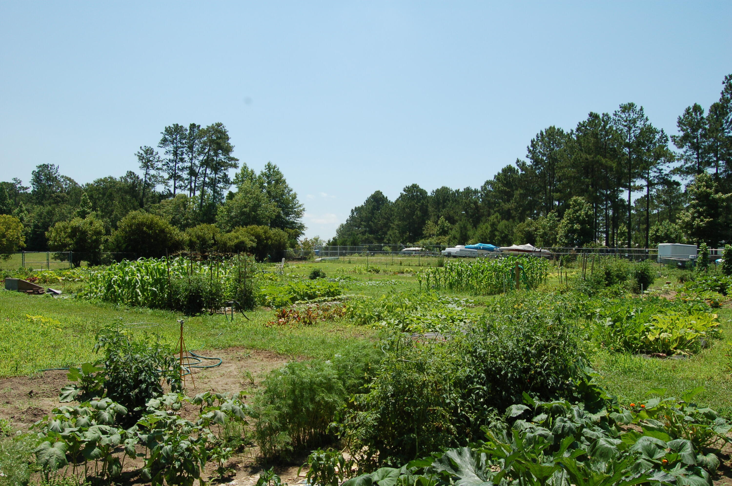 33 Ridge Lake Drive Manning, SC 29102 - Photo 42 of 45 Community garden area