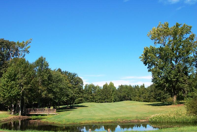 33 Ridge Lake Drive Manning, SC 29102 - Photo 44 of 45 PLAYERS COURSE #8