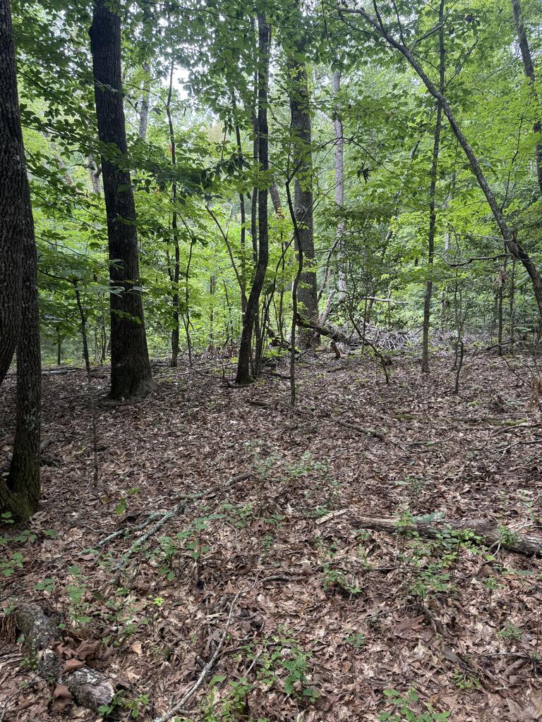 0 Henson Road Hayesville, NC 28904 - Photo 22 of 28 Gallery Image 22